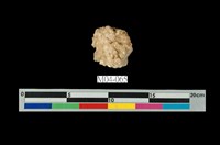 藏品(方解石)的圖片